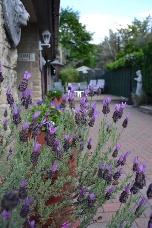 Castle Green Bed And Breakfast アッシュボーン エクステリア 写真